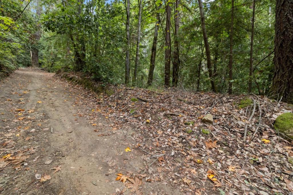 2 Bear Creek Property Photo 9