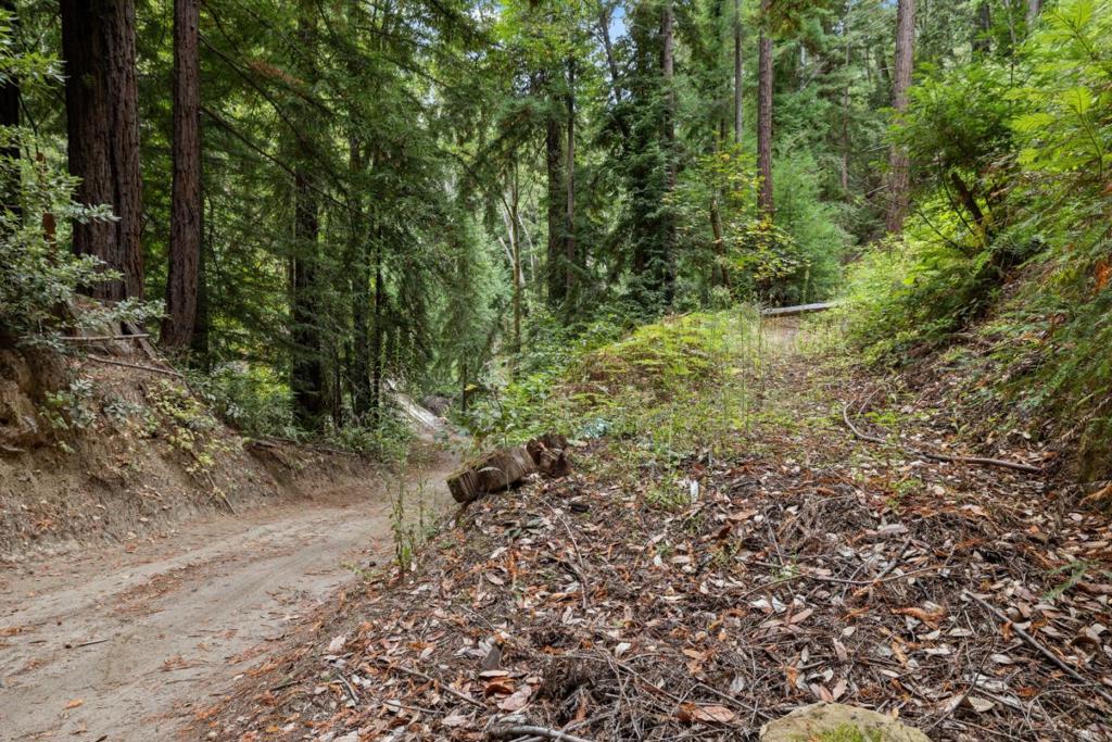 2 Bear Creek Property Photo 10
