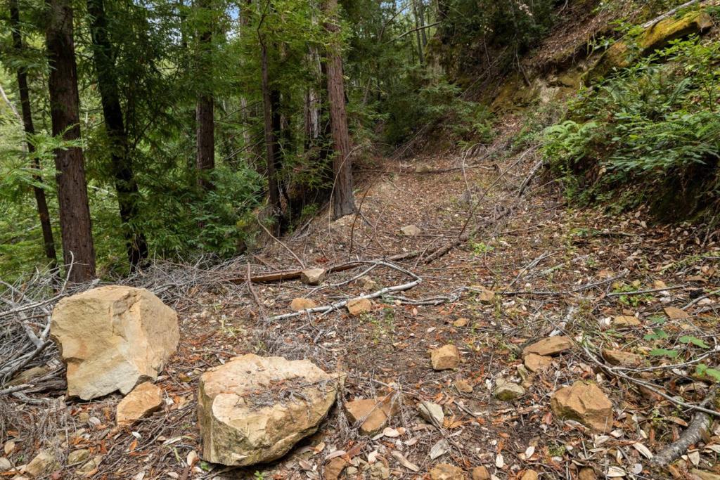 2 Bear Creek Property Photo 11