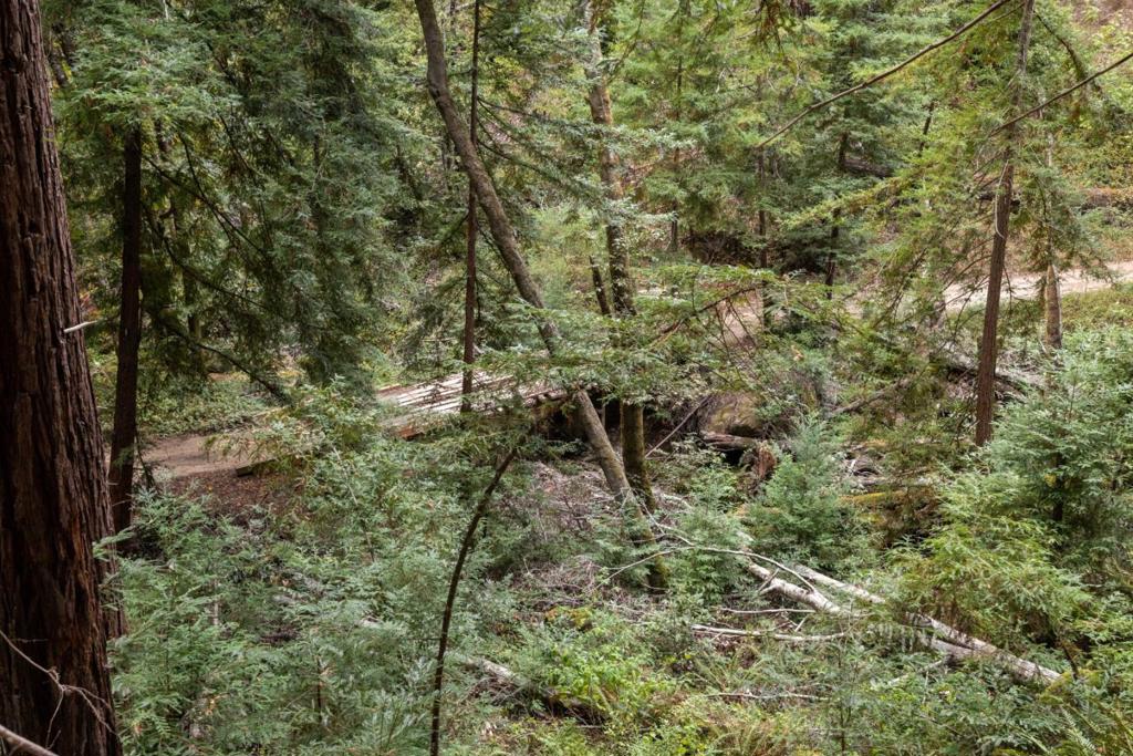 2 Bear Creek Property Photo 12