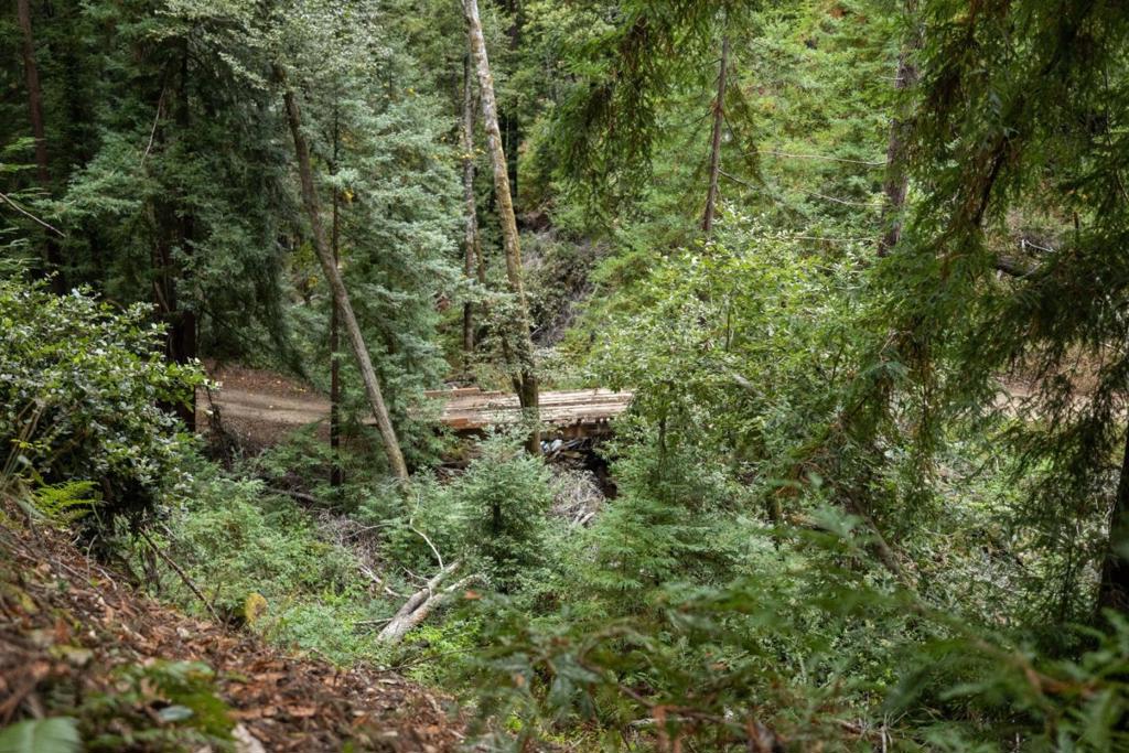 2 Bear Creek Property Photo 13