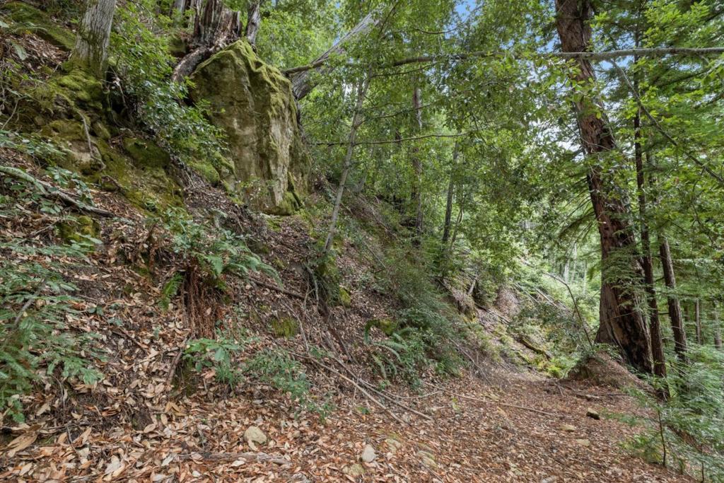 2 Bear Creek Property Photo 14