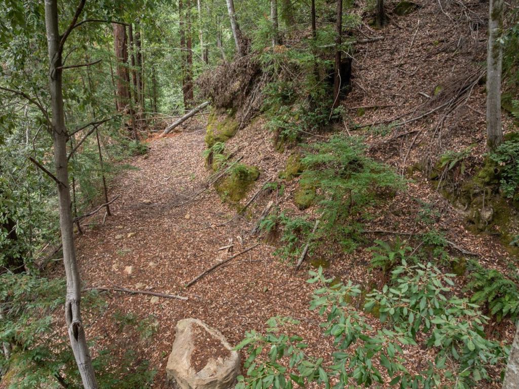 2 Bear Creek Property Photo 15