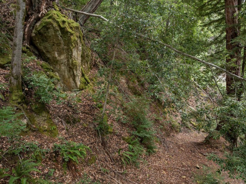 2 Bear Creek Property Photo 16