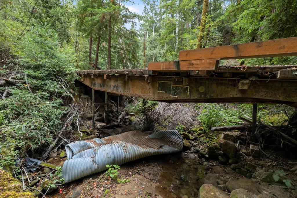 2 Bear Creek Property Photo 17