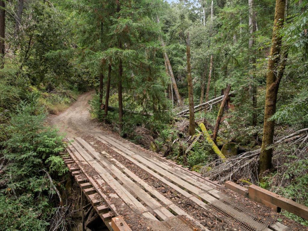 2 Bear Creek Property Photo 20