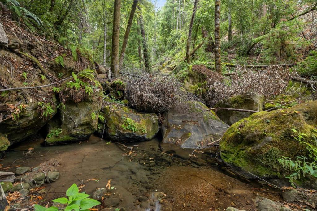 2 Bear Creek Property Photo 21