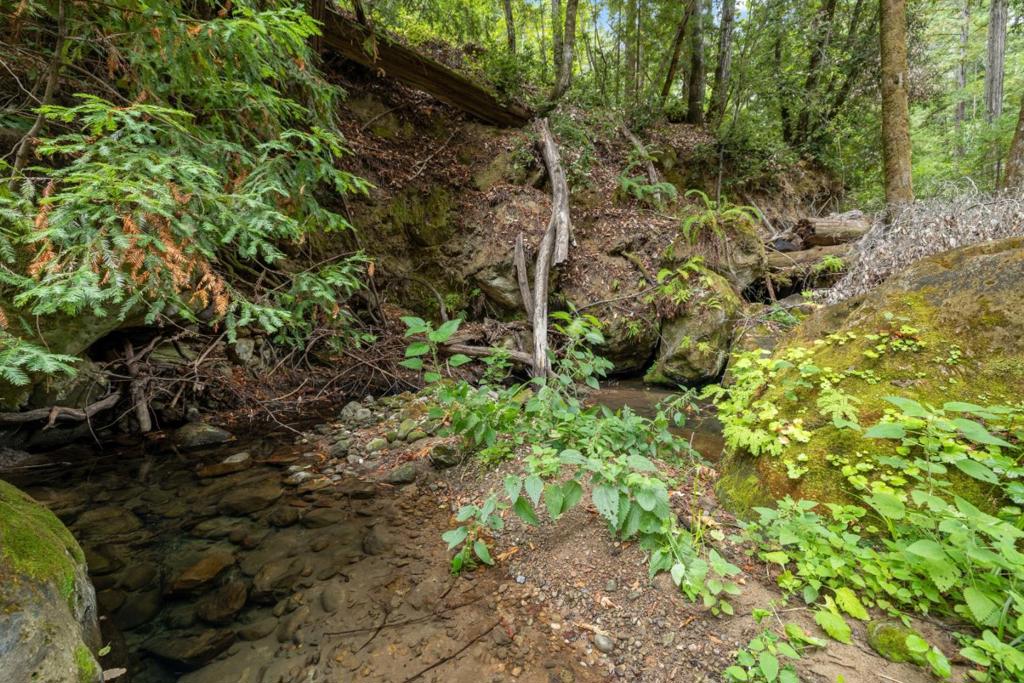 2 Bear Creek Property Photo 22