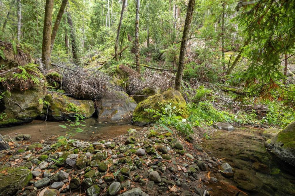 2 Bear Creek Property Photo 23