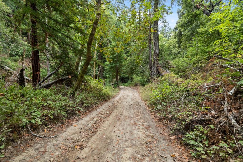 2 Bear Creek Property Photo 24