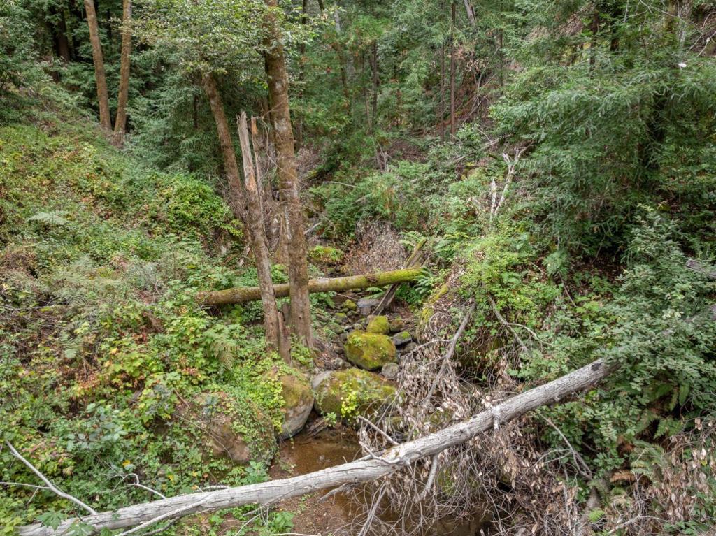 2 Bear Creek Property Photo 25