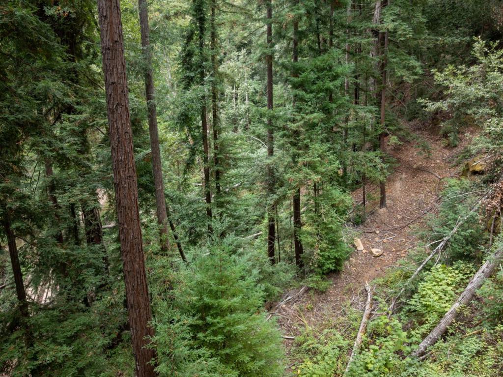 2 Bear Creek Property Photo 26