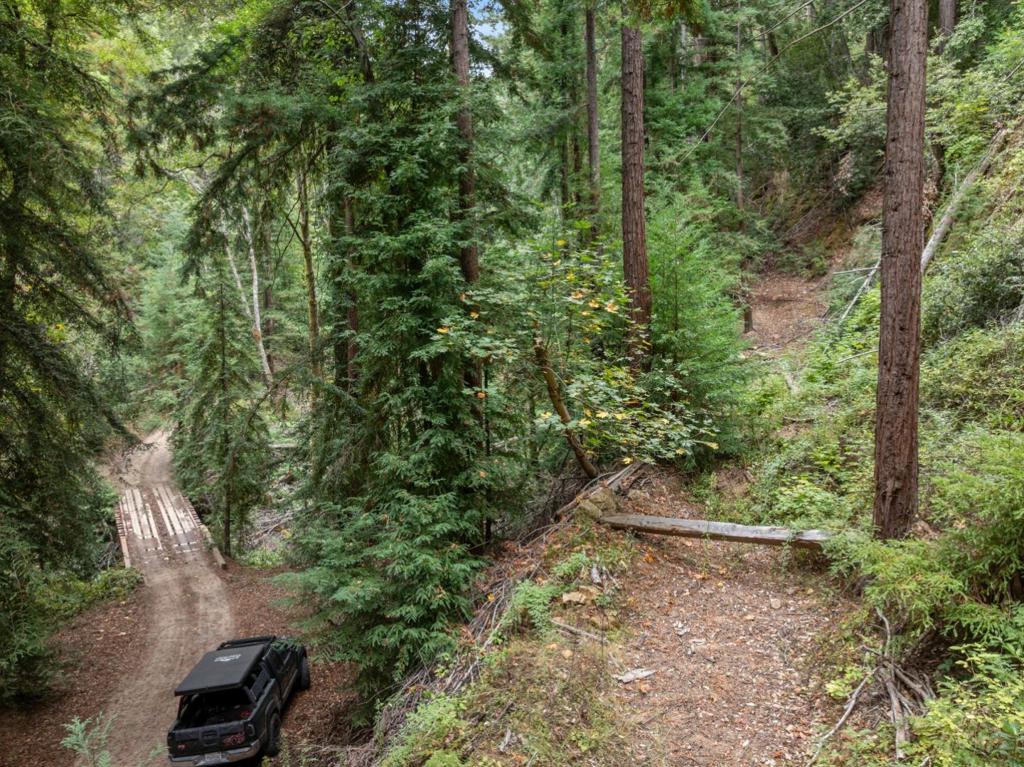 2 Bear Creek Property Photo 27