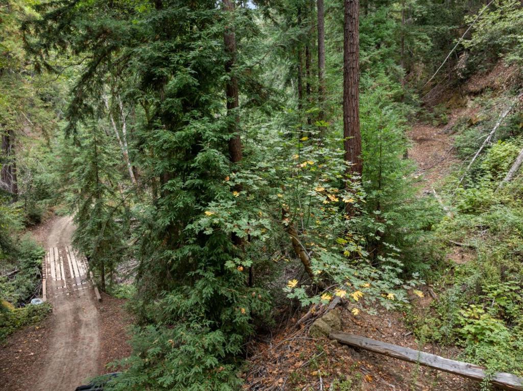 2 Bear Creek Property Photo 28