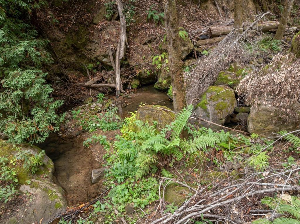 2 Bear Creek Property Photo 29