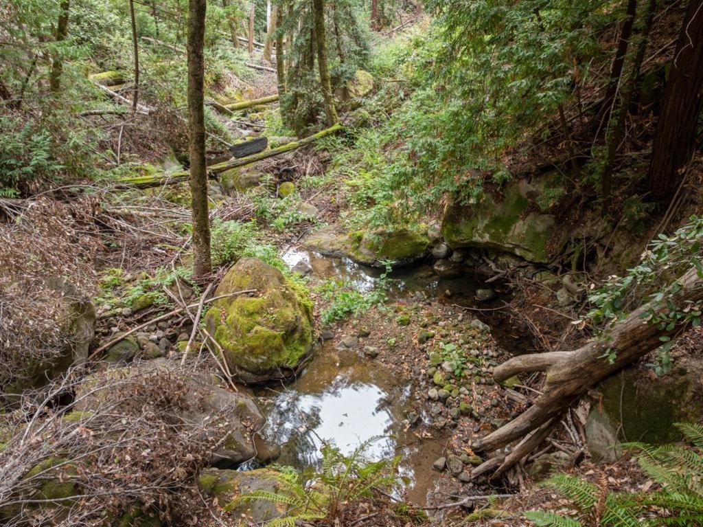 2 Bear Creek Property Photo 30
