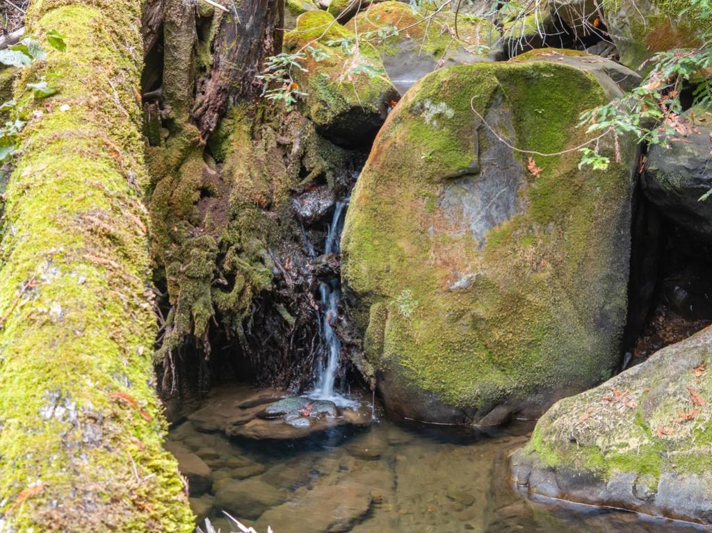 2 Bear Creek Property Photo 32
