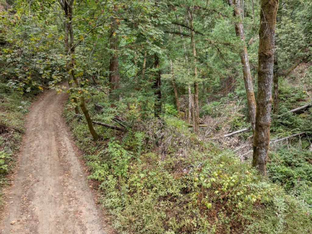 2 Bear Creek Property Photo 33