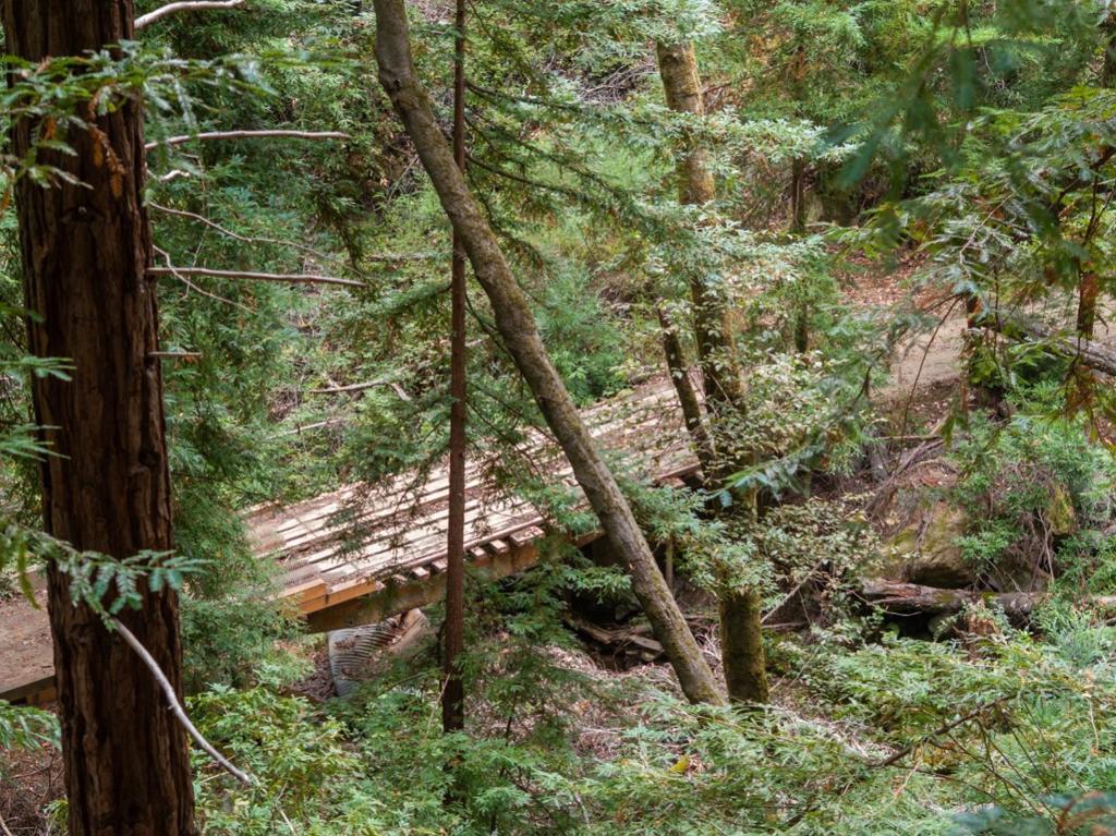 2 Bear Creek Property Photo 34