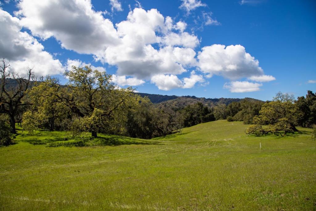 29 Arroyo Sequoia Property Photo 5