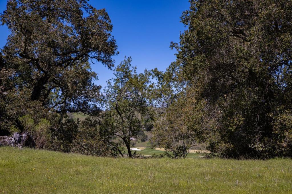 29 Arroyo Sequoia Property Photo 6