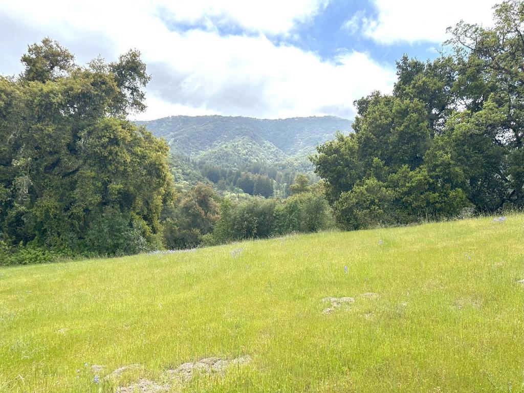 29 Arroyo Sequoia Property Photo 8