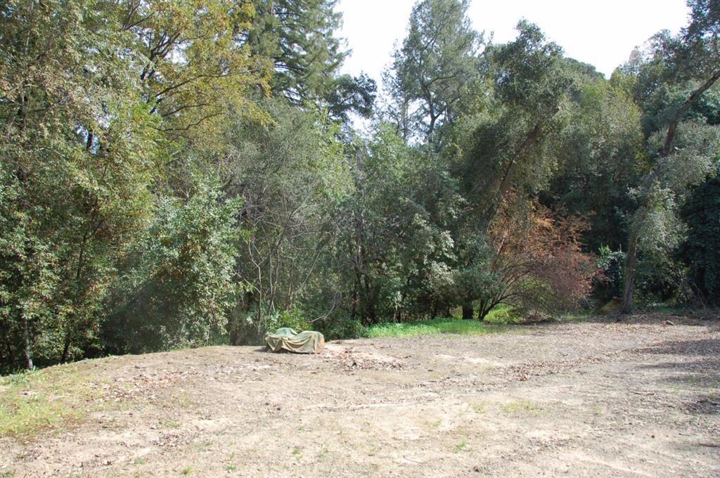 20406 Harvey Way Property Photo 8