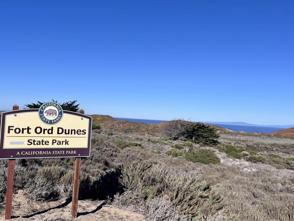 275 Skyview Drive Property Photo 60