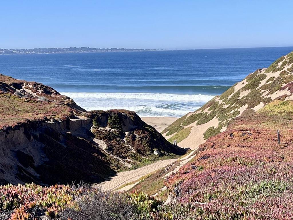 275 Skyview Drive Property Photo 61