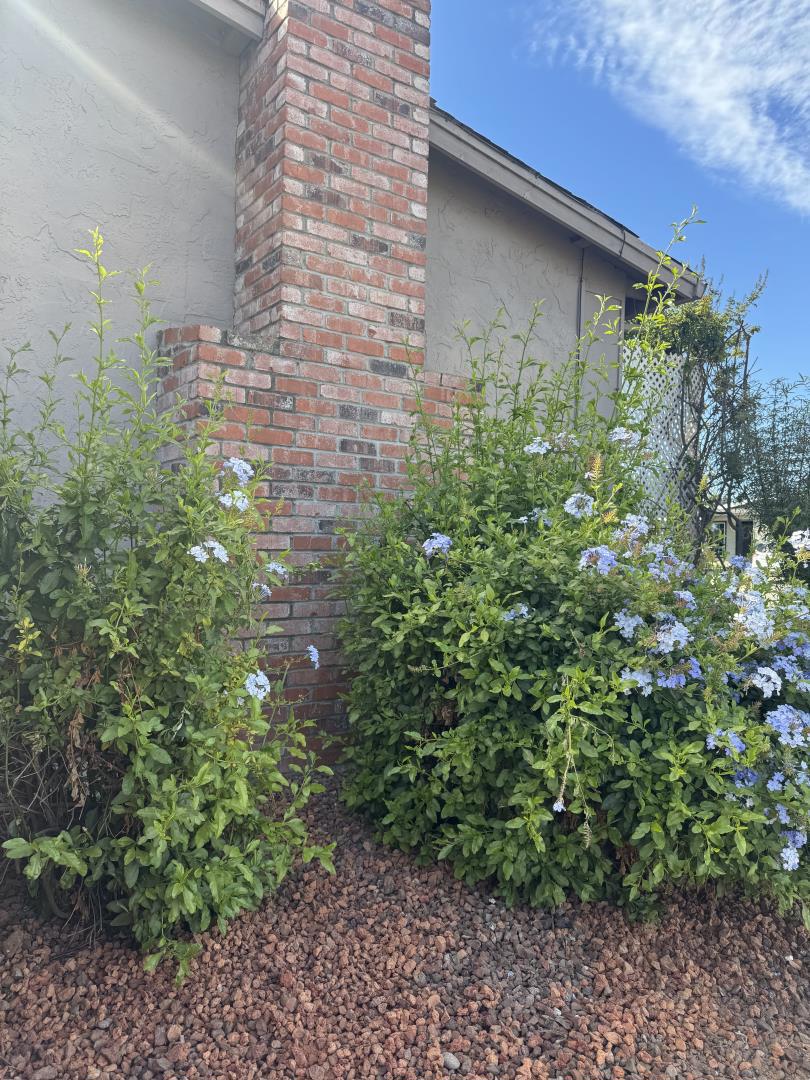501 Cedar Drive Property Photo 27