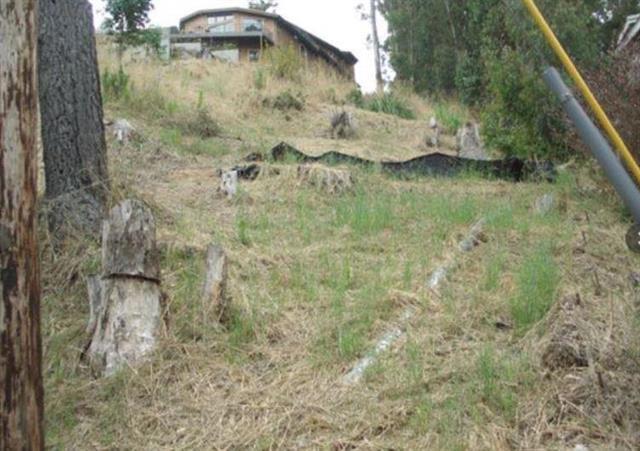San Pedro Property Photo 8
