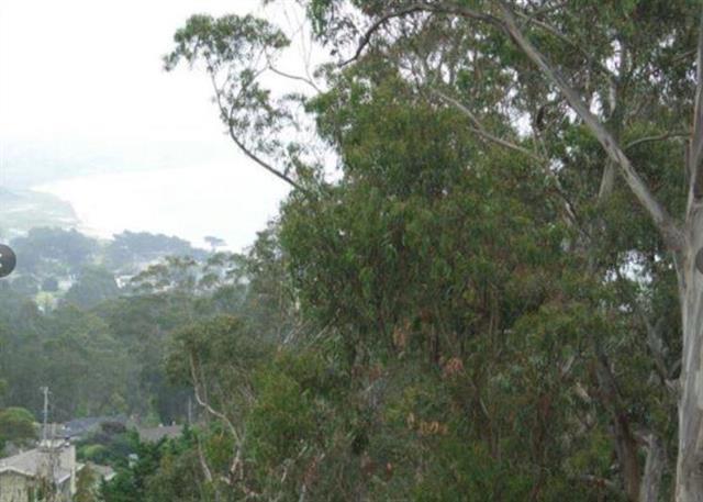 San Pedro Property Photo 9