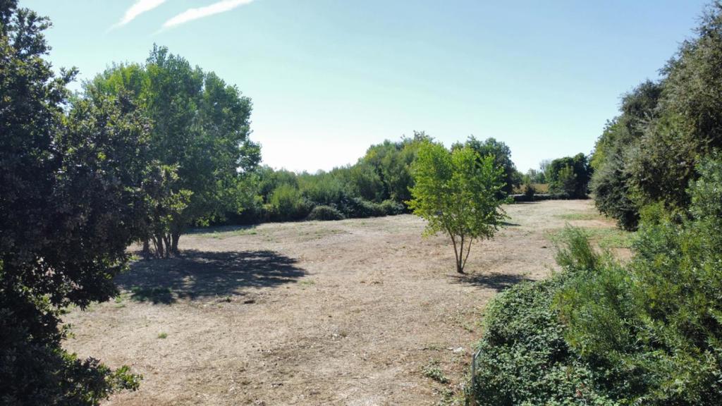 14567 W Walnut Grove-thornton Road Property Photo 14