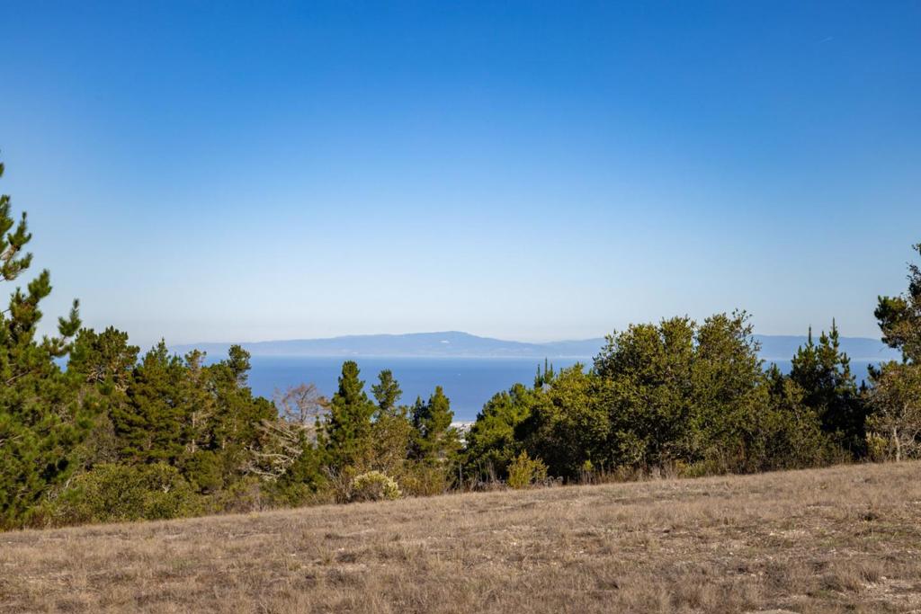 8005 Quatro Property Photo 11