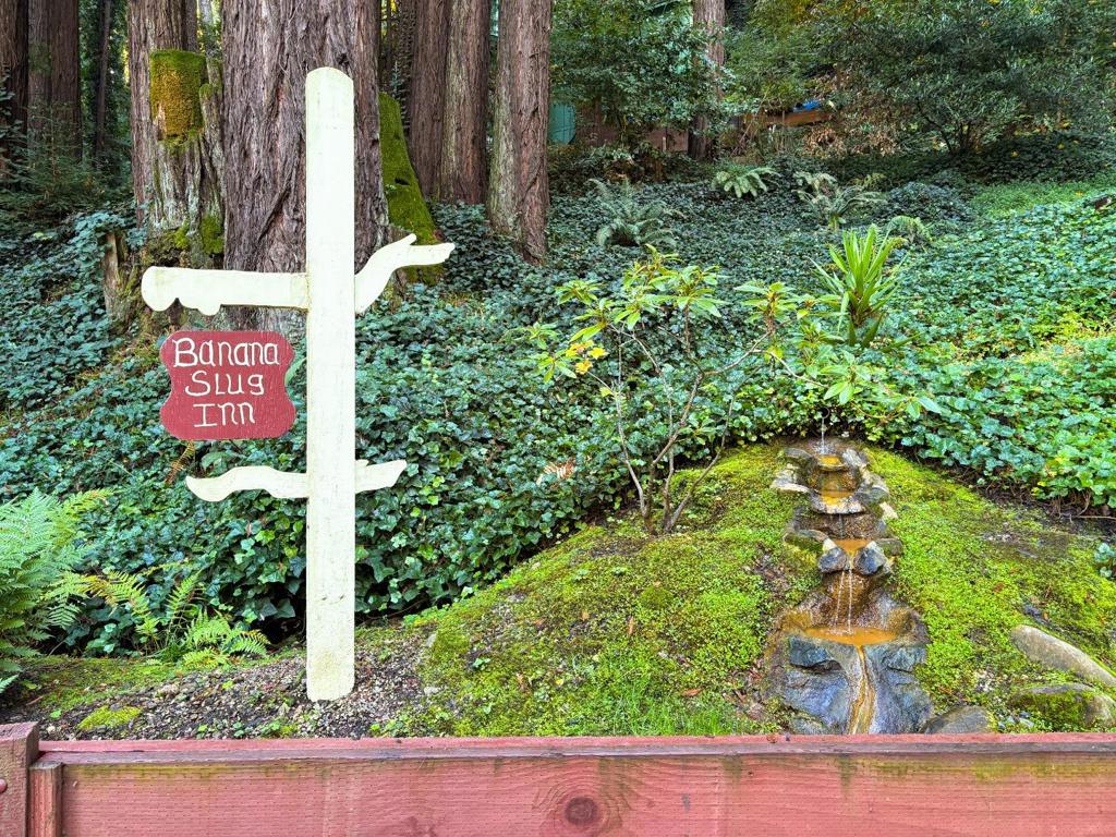 8787 Highway 9 Property Photo 2