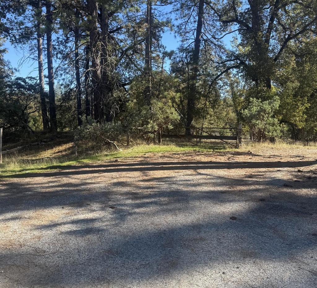 2795 State Highway 49 Property Photo 3