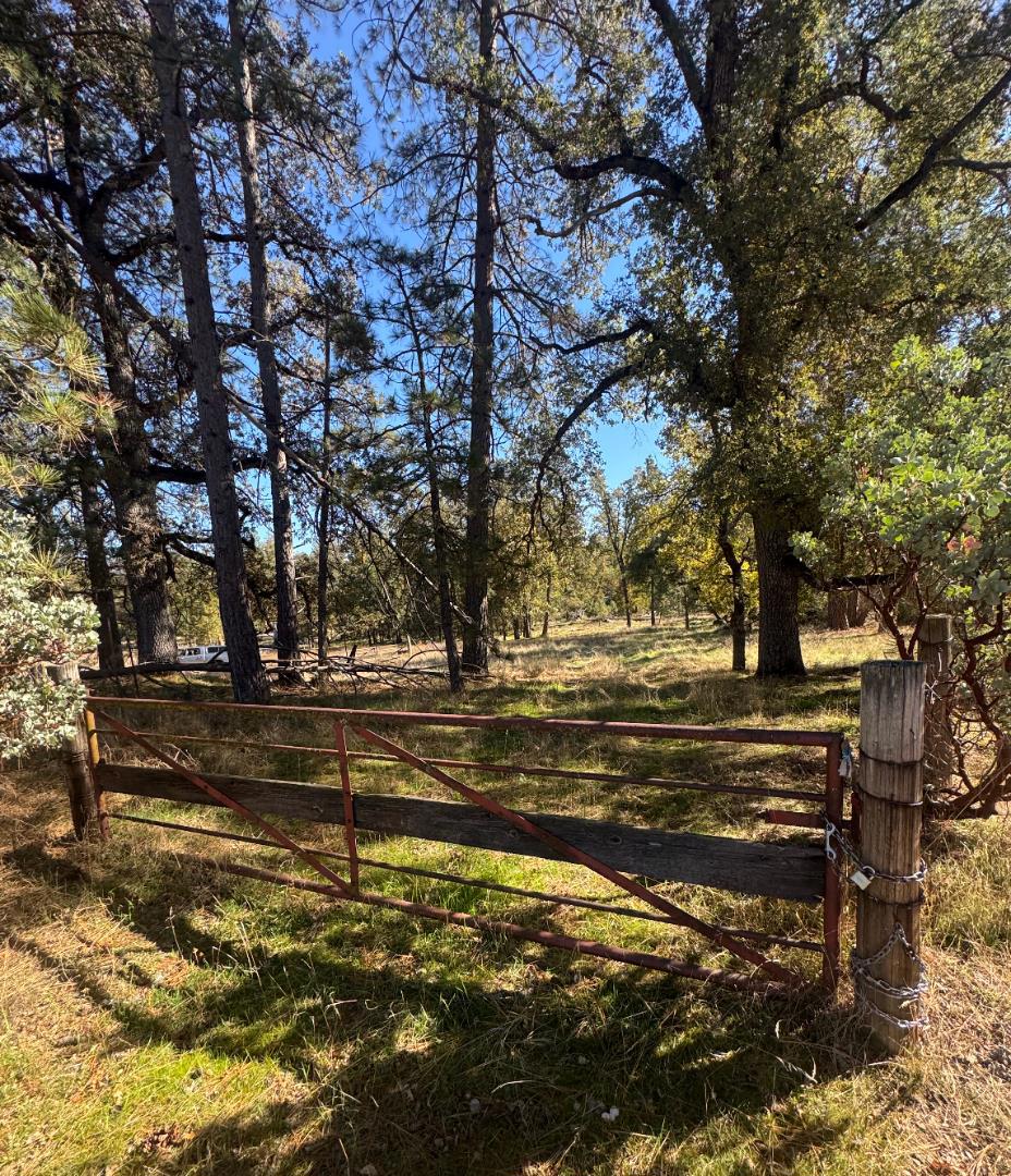2795 State Highway 49 Property Photo 4