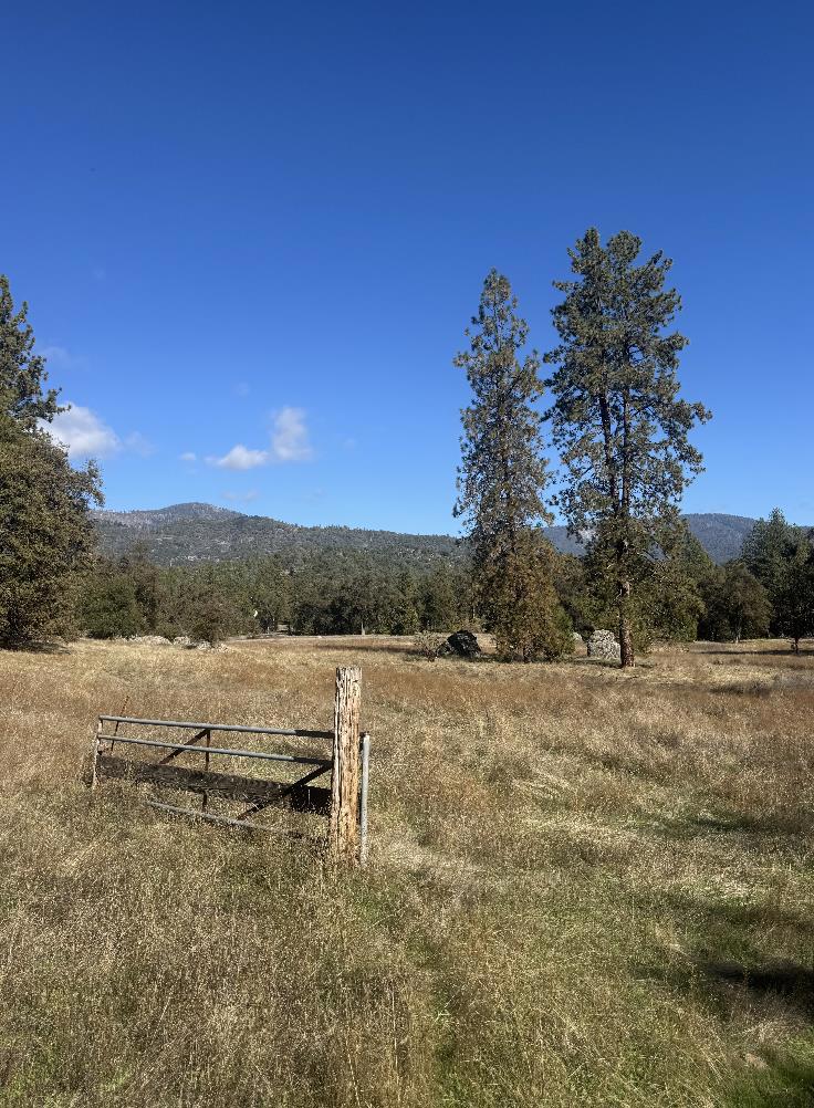 2795 State Highway 49 Property Photo 10