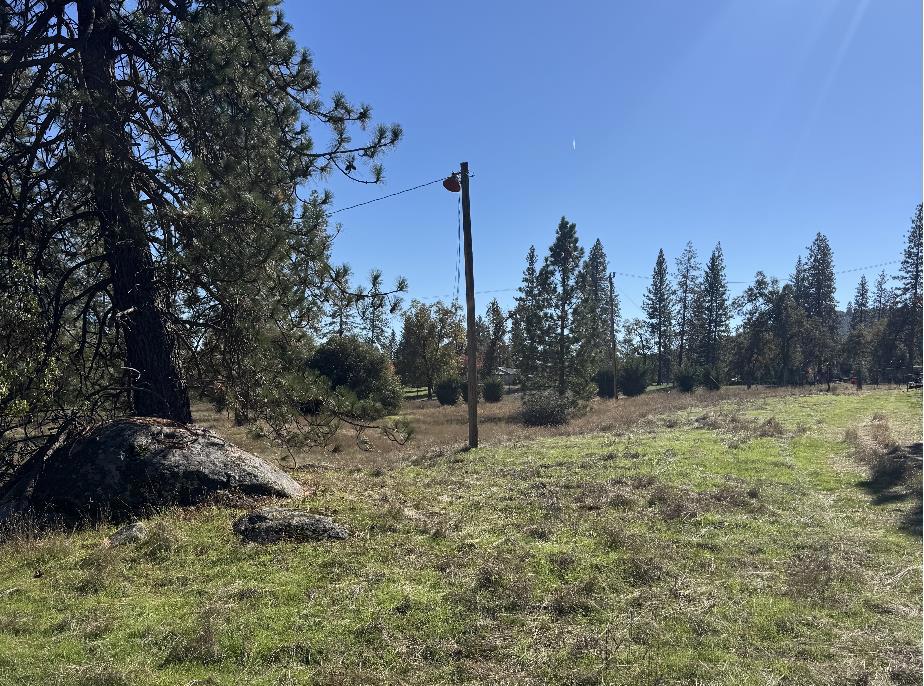 2795 State Highway 49 Property Photo 11