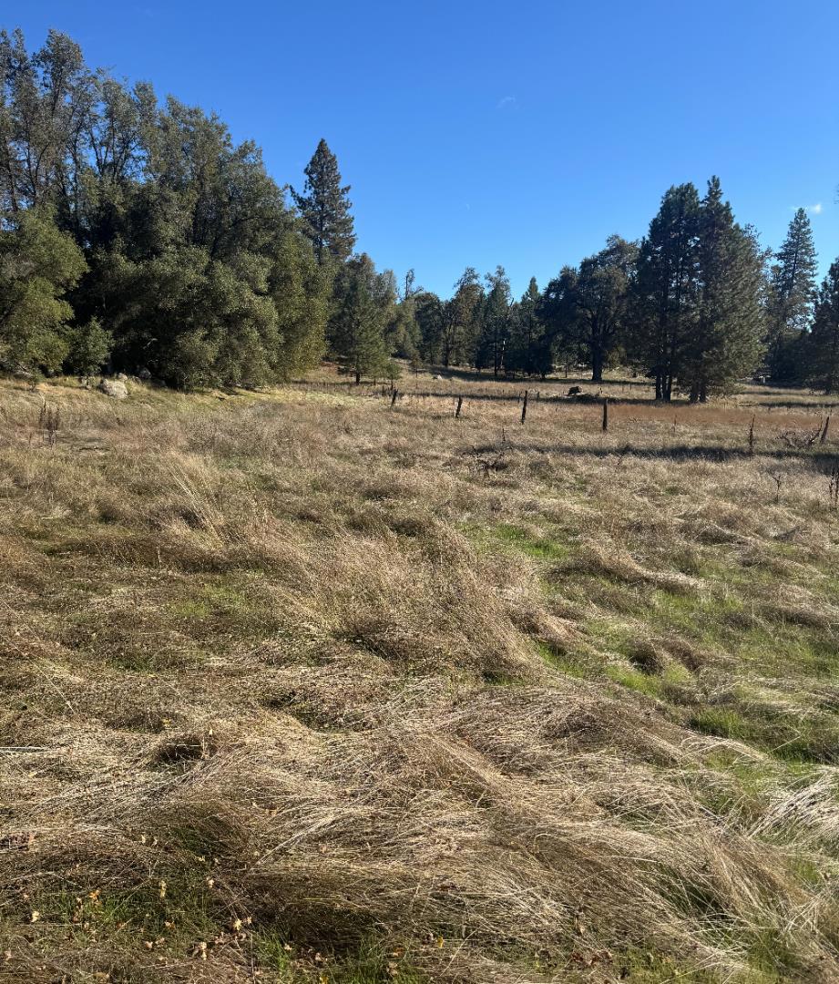 2795 State Highway 49 Property Photo 15
