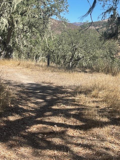 0 Cachagua Road Property Photo 1