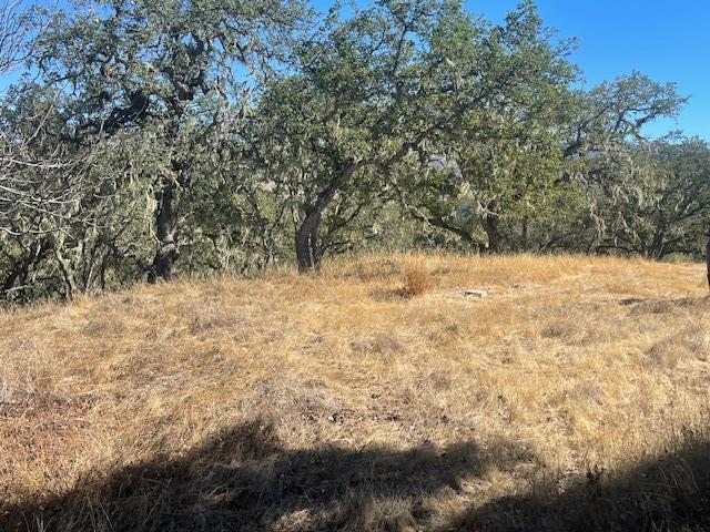 0 Cachagua Road Property Photo 2