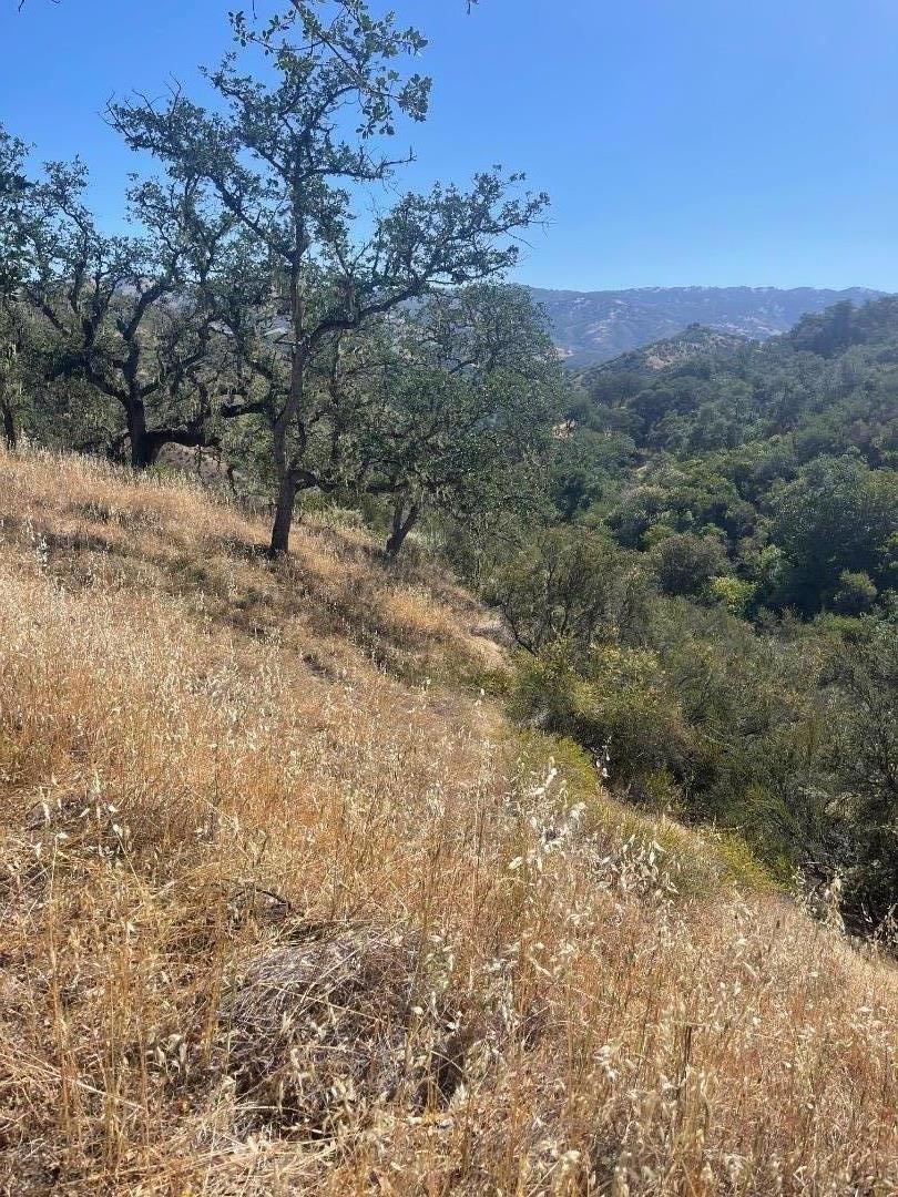 0 Cachagua Road Property Photo 3