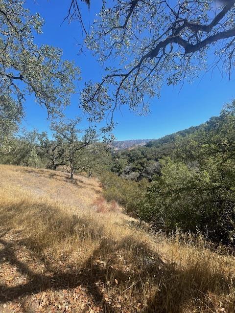 0 Cachagua Road Property Photo 4