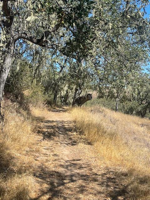 0 Cachagua Road Property Photo 6