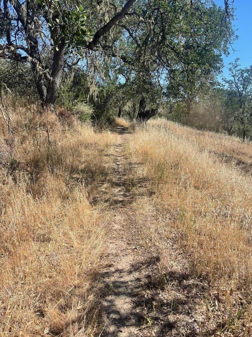 0 Cachagua Road Property Photo 7