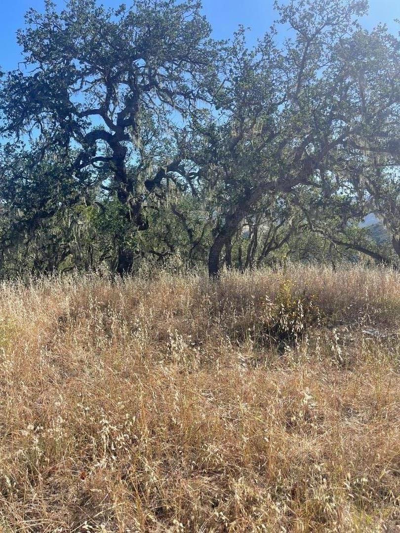 0 Cachagua Road Property Photo 8