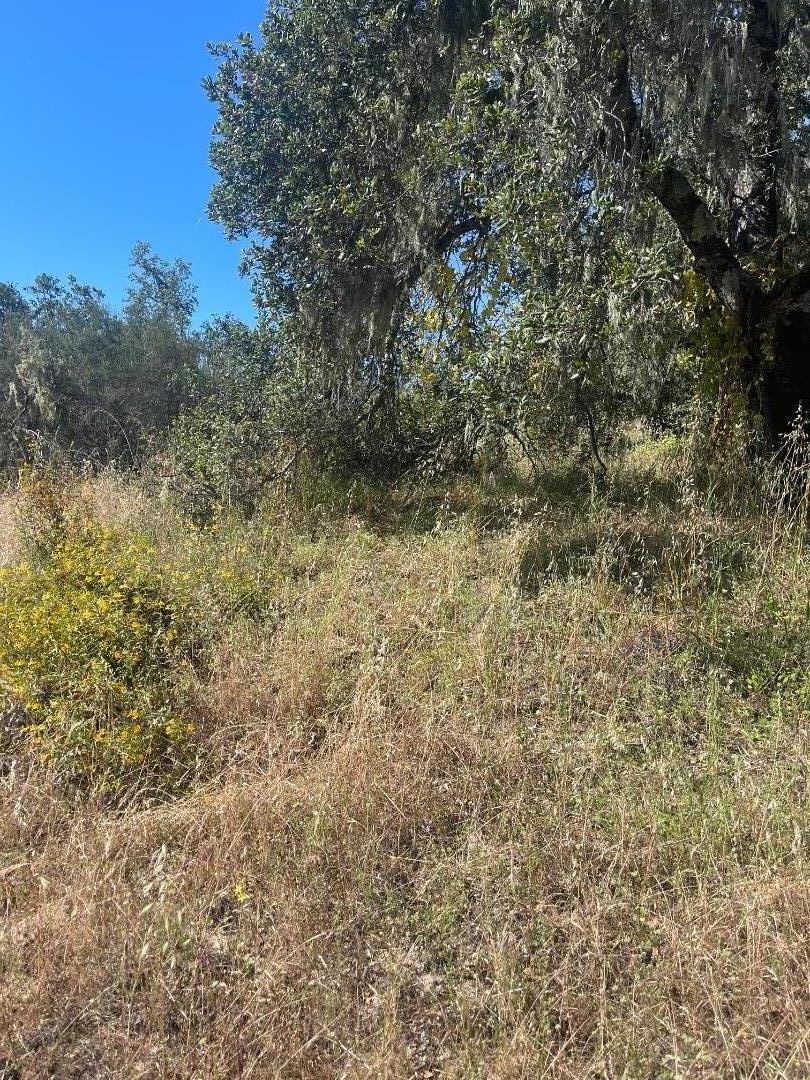 0 Cachagua Road Property Photo 9