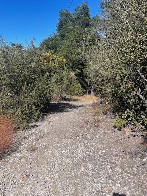 0 Cachagua Road Property Photo 10