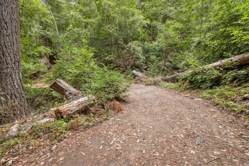 1365 Caledonia Avenue Property Photo 8